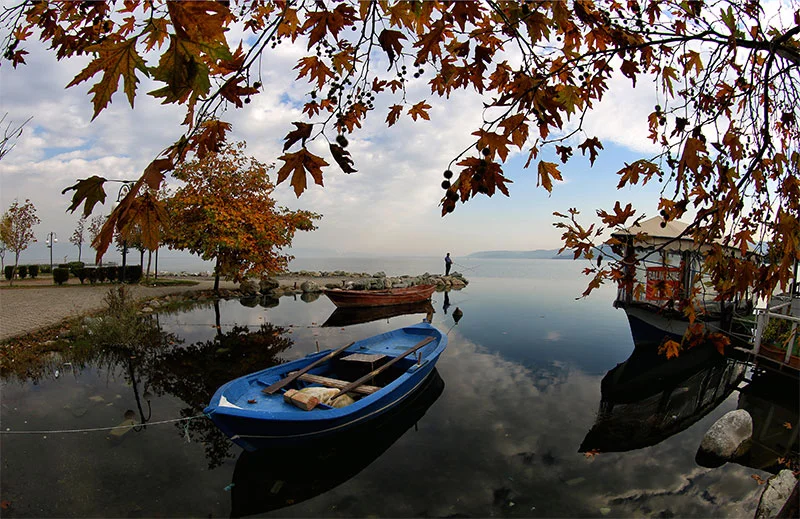 SAPANCA'YI YAŞAYIN !